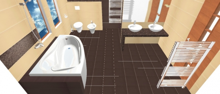 Proiect 3d Intensity 1 1